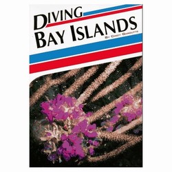 Diving Bay Islands by Cindy Garoutte