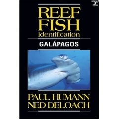 Reef Coral Identification: Galapagos