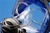 Ocean Reef Optical Lens Support