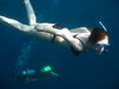 PADI Discover the Underwater World Snorkeler's Field Guide Book