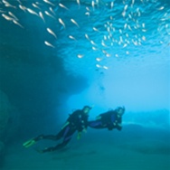 PADI Open Water Specialty Instructor