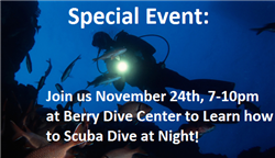 Night Diver Experience